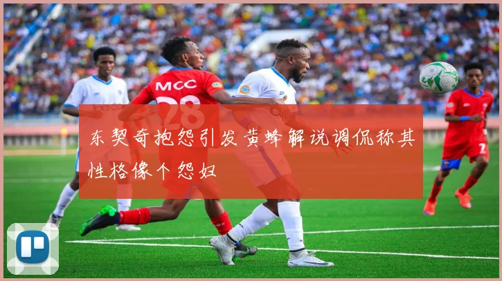 东契奇抱怨引发黄蜂解说调侃称其性格像个怨妇