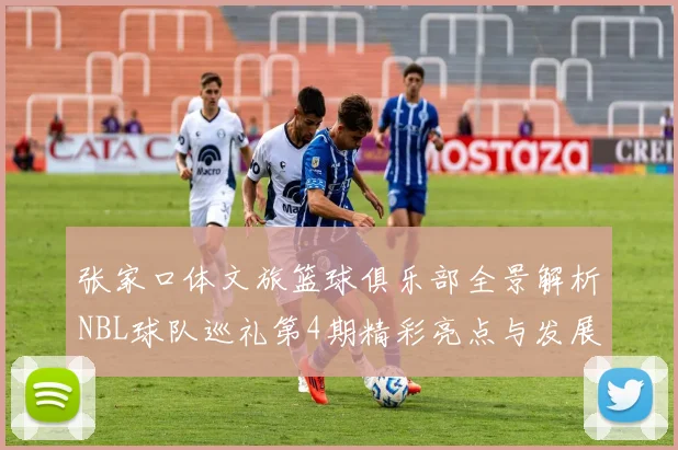 张家口体文旅篮球俱乐部全景解析NBL球队巡礼第4期精彩亮点与发展前景