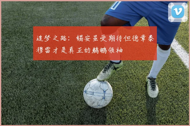 追梦之路：锡安虽受期待但德章泰穆雷才是真正的鹈鹕领袖