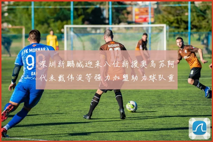 深圳新鹏城迎来八位新援奥乌苏阿代米戴伟浚等强力加盟助力球队重塑辉煌