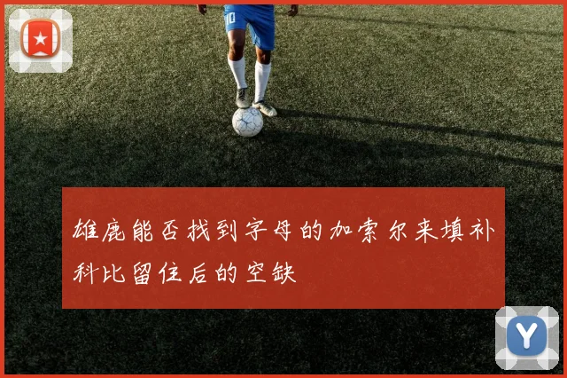 雄鹿能否找到字母的加索尔来填补科比留住后的空缺